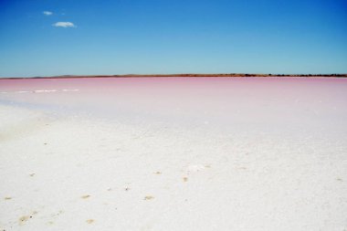 Orta Avustralya, f için yolda karşılaştı pembe Lake