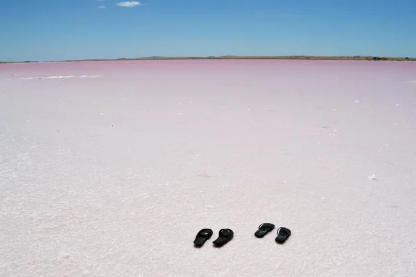 The Pink Lake encountered on the way to Central Australia, not f