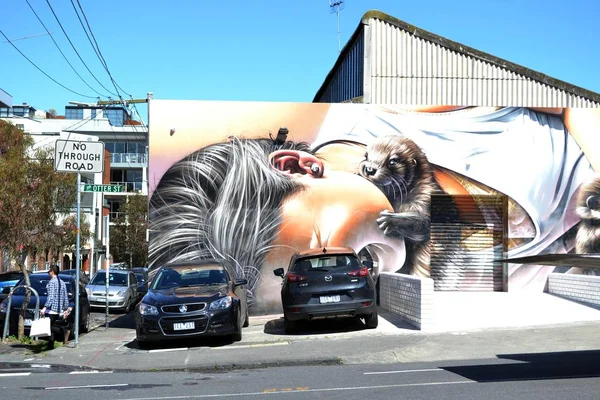 Graffiti y murales en Melbourne, Victoria - Australia — Foto de Stock