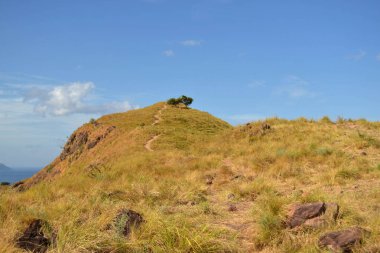 Bush uçsuz Padar Adası