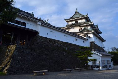 Wakayama kale yolunda