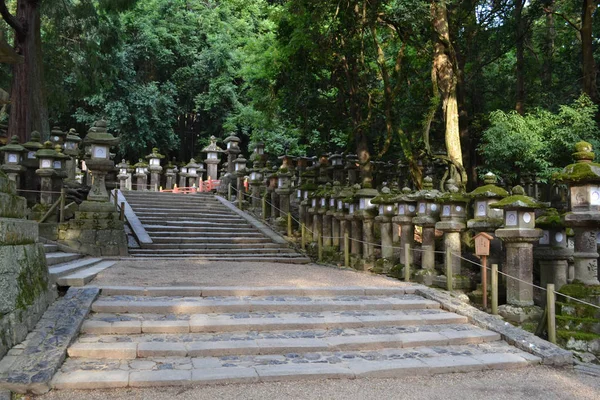 奈良県で日本の神社。多くの「トロ」s (照明 — ストック写真