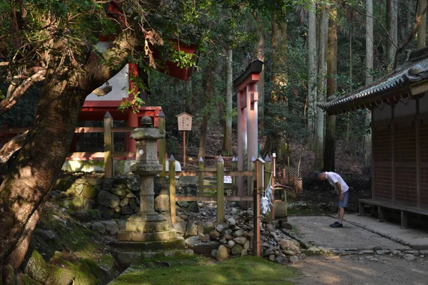 Modlących się Kasuga Taisha, słynnego Sanktuarium w Nara (Japa — Zdjęcie stockowe