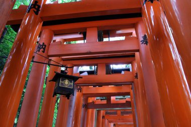 Fushimi Inari tapınak içinde kapılarında doğrultusunda hangin bir fener