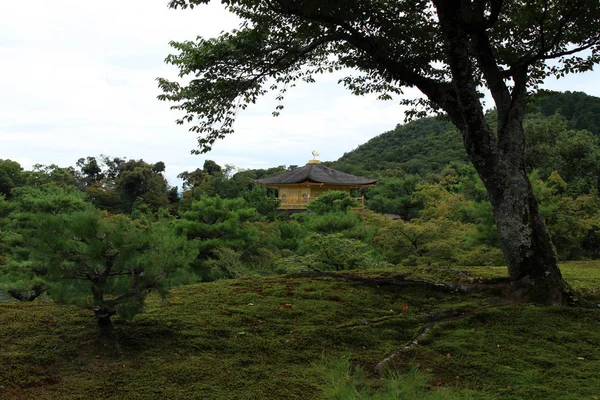Vicino al Padiglione d'Oro o Tempio d'Oro di Kyoto (Kinkaku — Foto Stock