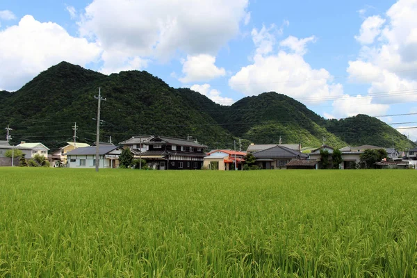 日本での郊外生活。写真は山口で撮影された 201年 8 月 — ストック写真