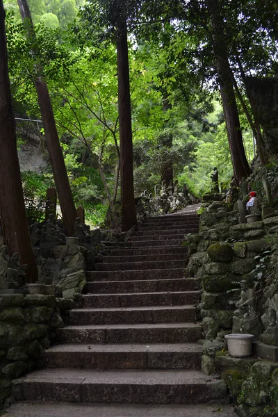 日本神社 Nanzoin 的路。与许多佛陀统计 — 图库照片