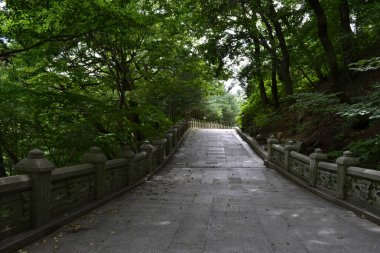 Palgongsan dağın, Kore çevresinde bir köprü. PIC Ağustos çekildi