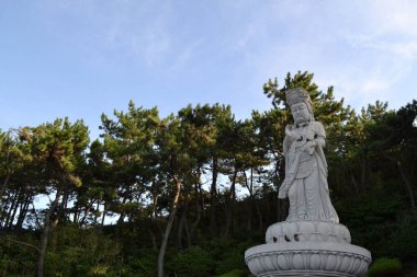 (Guanyin veya Kanon?) kuşlar tarafından çevrili Buda heykeli. Pi