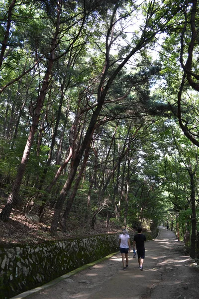 韓国大邱広域市前山公園の上を歩くカップル。写真は徳 — ストック写真
