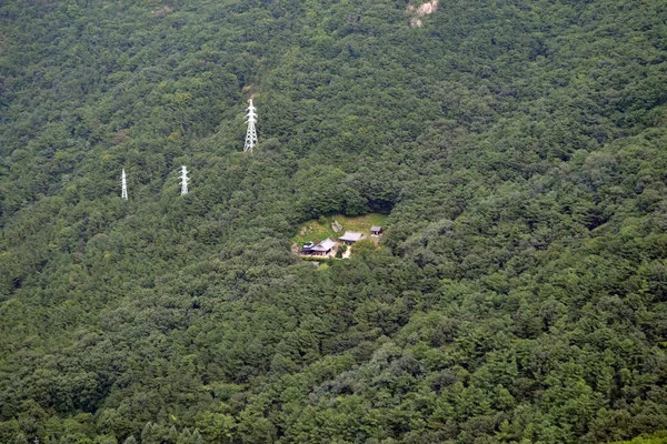 Um templo coreano cercado por árvores e pela floresta. O Pic foi levado. — Fotografia de Stock