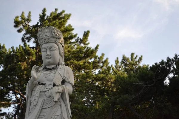 Het standbeeld van Boeddha (Guanyin of Kanon?) omgeven door vogels. Pi — Stockfoto