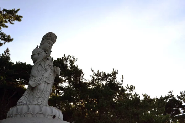 La estatua de Buda (¿Guanyin o Kanon?) rodeado de pájaros. Pi. — Foto de Stock