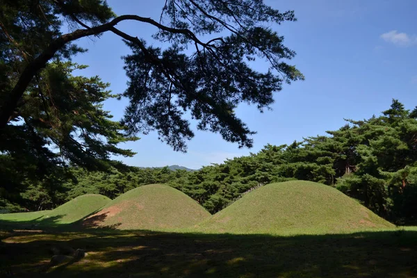 Den koreanska graven runt Samneung. Pic togs i augusti 2017. — Stockfoto