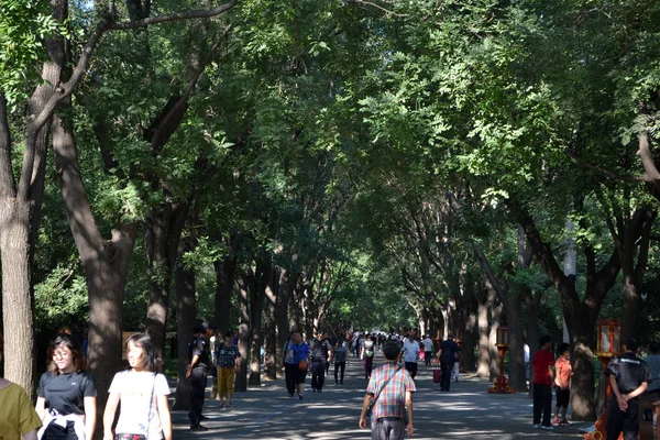 Des gens marchent sous les arbres autour de Pékin. Pic a été pris en — Photo