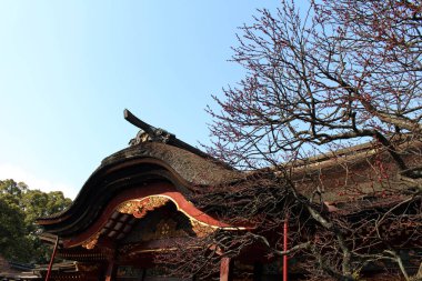 Mavi gökyüzü, ağaçlar ve Dazaifu Tenmangu, Fukuoka