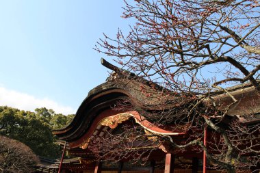 Mavi gökyüzü, ağaçlar ve Dazaifu Tenmangu, Fukuoka