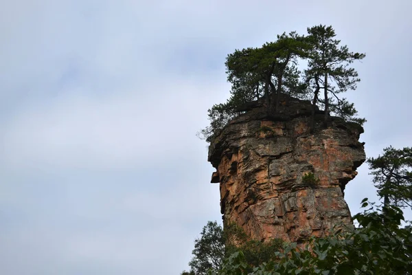 Смотреть на вид во время прогулки по Wulingyuan Scenic Area. Что за... — стоковое фото