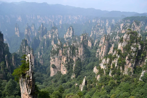 Formaciones rocosas alrededor del área escénica de Wulingyuan. ¡Qué dramático! — Foto de Stock