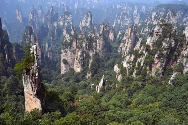 Kaya oluşumları Wulingyuan doğal çevresinde. Ne dramatik bir l — Stok fotoğraf