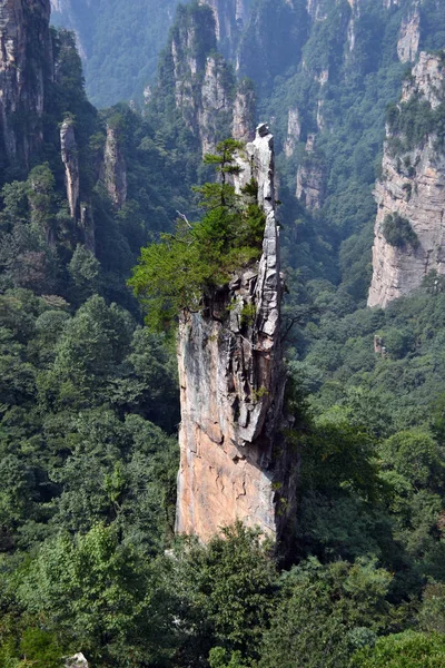 Einzelner Felsen, der rund um das landschaftliche Gebiet von Wulingyuan steht. Was für ein Drama — Stockfoto