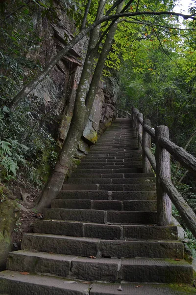 Escaleras alrededor del área escénica de Wulingyuan. Un sendero típico — Foto de Stock