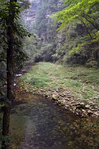 Túrázás, ezen a környéken: a park Wulingyuan festői területen. Greenies minden — Stock Fotó