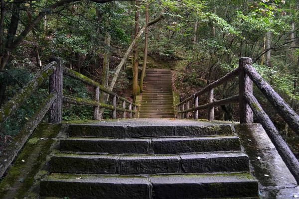 Merdiven Wulingyuan doğal çevresinde. Tipik hiking trail — Stok fotoğraf