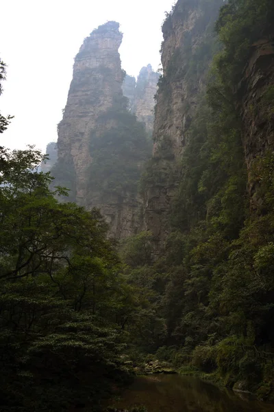 Caminhadas ao redor do parque em Wulingyuan área cênica. Verduras cada — Fotografia de Stock