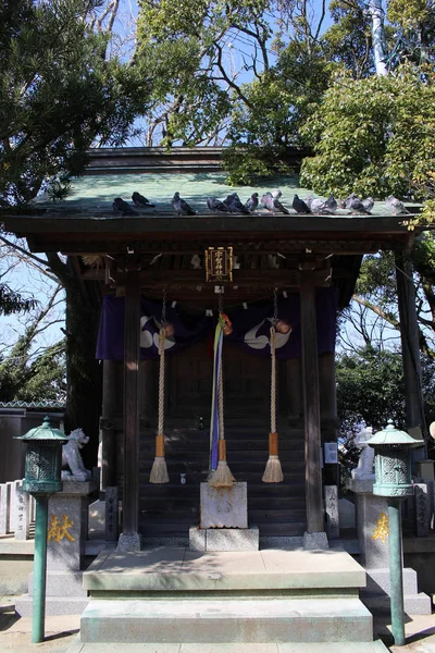 Tradução: Os pássaros em torno de "Atago Jinja". Tomado em Fukuoka, J — Fotografia de Stock