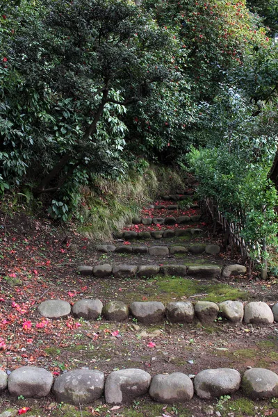 La naturaleza alrededor del complejo de santuario Tsurugaoka Hachimangu de Kamaku — Foto de Stock