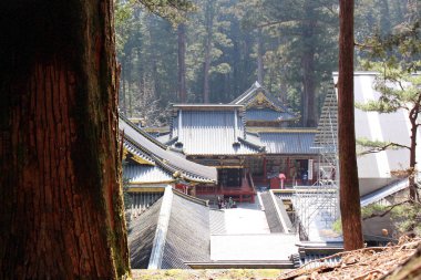 Toshogu Tapınağı Ieyasu Toku Türbesi uyanık görünümü