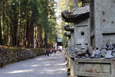 Kayalar ve compl içinde toros (Futarasan tapınak aydınlatma)
