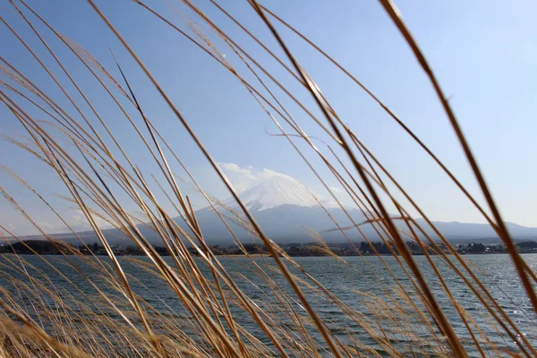 Monte Fuji visto desde el lago Kawaguchi — Foto de Stock