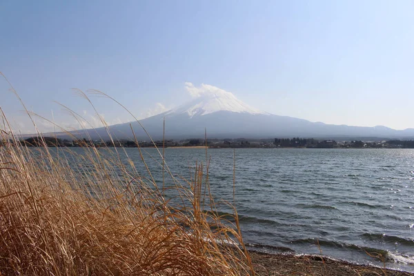 河口湖から見た富士山 — ストック写真