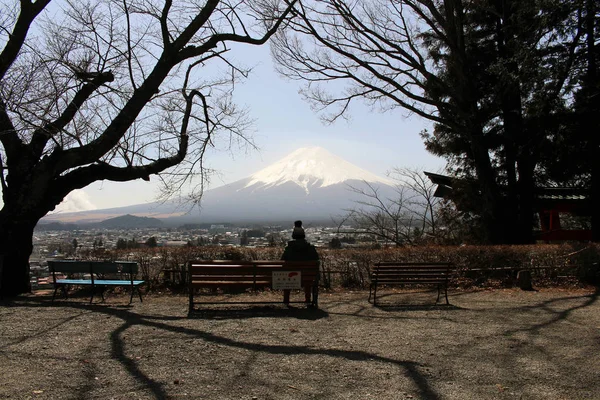 Mensen staren op Mount Fuji zoals gezien vanaf Chureito Pagoda. Wanneer — Stockfoto