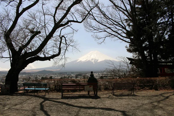 Ember bámulja a Mount Fuji, mint látott-ból Chureito Pagoda. mikor — Stock Fotó