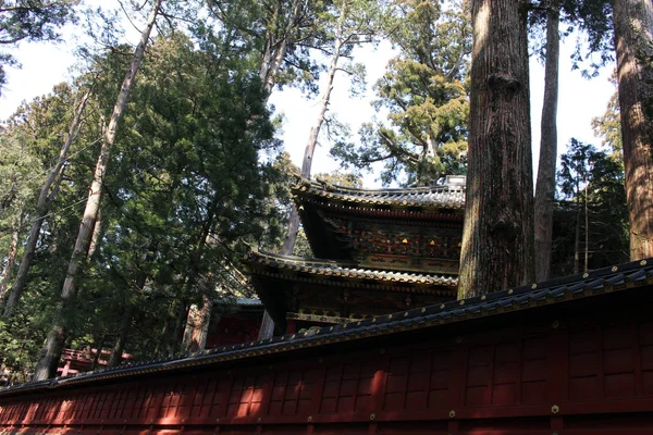 Навколо Futarasan Shrine і його Торос (освітлення), в комплексі — стокове фото