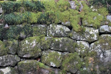 Moss güzel olabilir. Japon cuture içinde bile, bu bir p olarak kullanılır