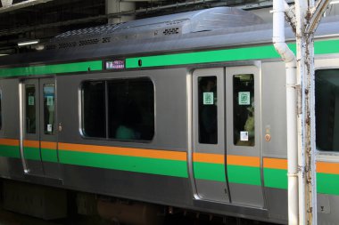 Kalabalık, Paketli ve Japon tren strati hayata şifreli