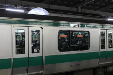 Kalabalık, Paketli ve Japon tren strati hayata şifreli