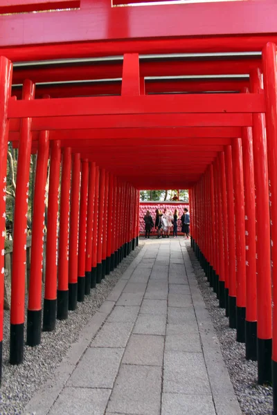 Raden av Shinto grindar och tjejer tar selfie i slutet av — Stockfoto