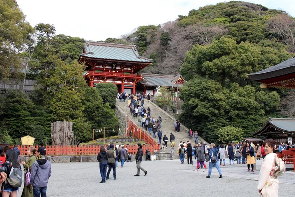 Kimono Tsurugaoka önünde kızlarda türbe. Kamakura içinde alınan