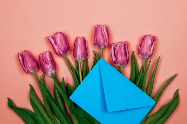 Pink tulips and blue envelope on pink background. womens day card — 图库照片