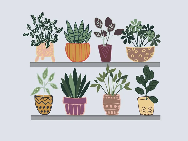 Watercolor drawing home plants, hand drawn vector illustration — Stock Vector