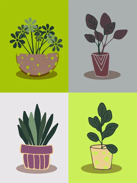 Ensemble de fleurs de la maison dans des pots de fleurs. conception concept de jardinage de style scandinave. illustration vectorielle — Image vectorielle