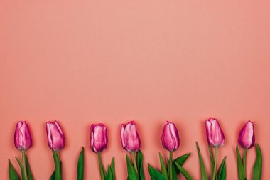 Kadınlar günü kartı. Pembe arka planda altta yedi pembe lale var.