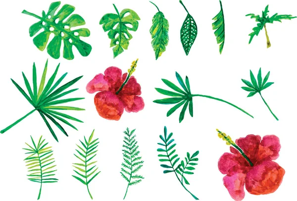 Set of hand-painted tropical leaves isolated. vector illustration — 스톡 벡터