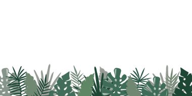 Palmiye ağacı arkaplanını beyaz arkaplanda izole eder.