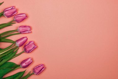 Kadınlar günü kartı. Pembe arka planda soldan yedi pembe lale.